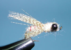 Caramel Caddis