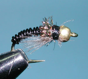 Metallic Caddis