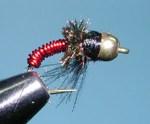 Metallic Caddis