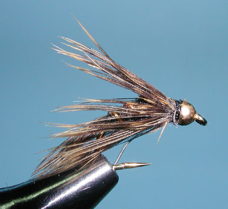 Wet Pheasant Tail