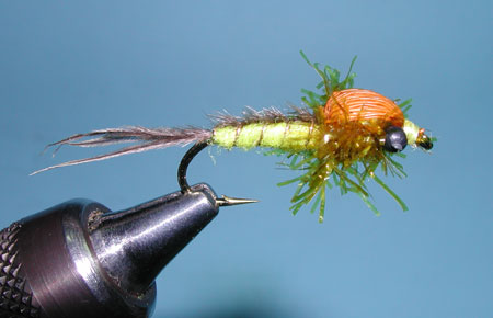 hex nymphs