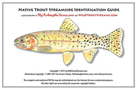 Native Trout Guide