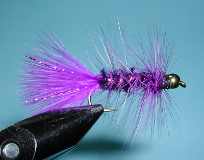 Purple Woolly Bugger