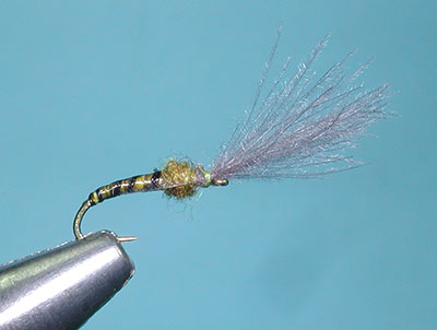 Blue Wing Olive Colored Emerger