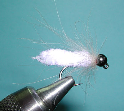 Mop Fly, CDC