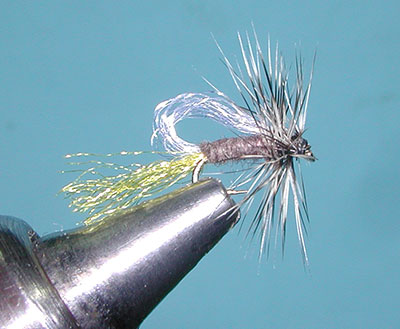Roy's Special Emerger