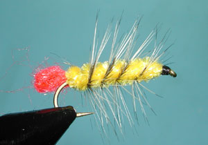 Yellow/Badger Woolly Worm