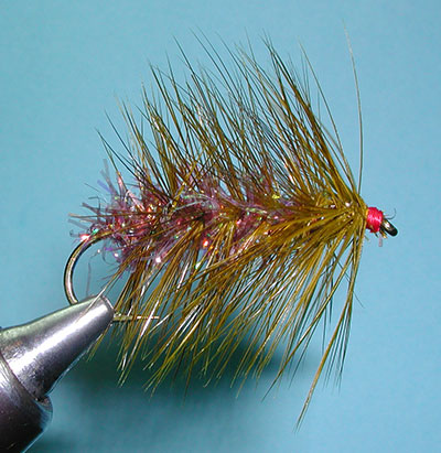 Martini Olive  Woolly Worm